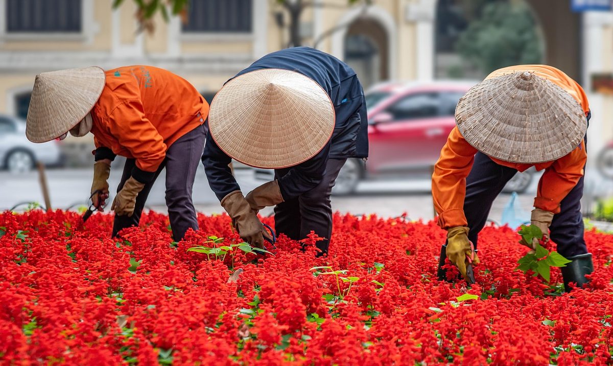 Landscaping crew planting a flower bed (Florida landscaper insurance)